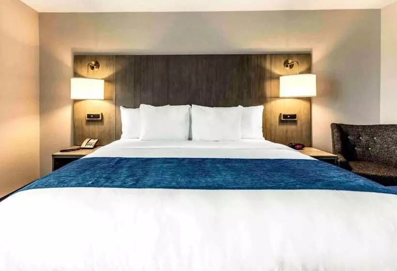 Standard-huone King-vuode, Comfort Inn Airport