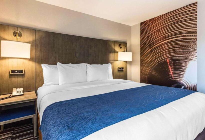 Camera Standard Letto King, Comfort Inn Airport