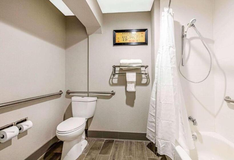 带大床的标准间, Comfort Inn Airport