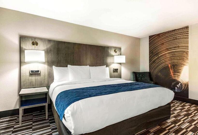 带大床的豪华间, Comfort Inn Airport