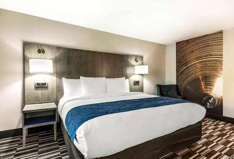 Deluxe-huone King-vuode, Comfort Inn Airport