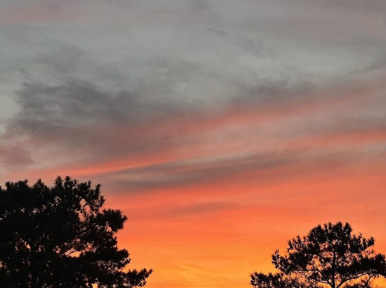 带2个双人床的标准工作室, La Quinta Inn By Wyndham Columbia Ne Fort Jackson