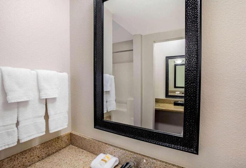 장애인을 위한 킹사이즈 침대 스탠다드 룸, La Quinta By Wyndham Houston Baytown East