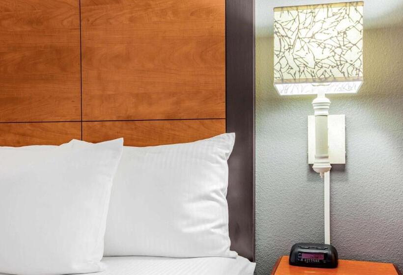 장애인을 위한 킹사이즈 침대 스탠다드 룸, La Quinta By Wyndham Houston Baytown East