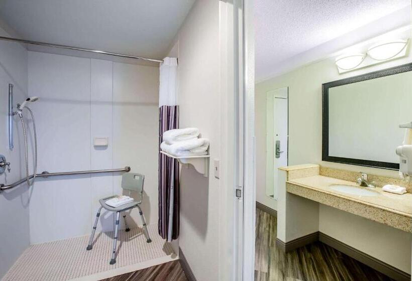 Номер Стандарт Кровать Кинг Адаптированный для Инвалидов, La Quinta By Wyndham Houston Baytown East