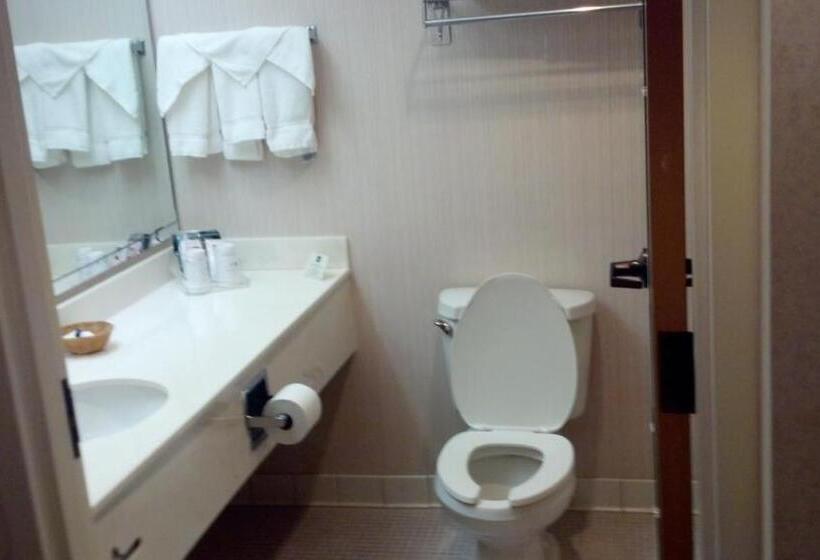 Номер Стандарт 2 Двуспальные Кровати, Quality Inn & Suites Exmore