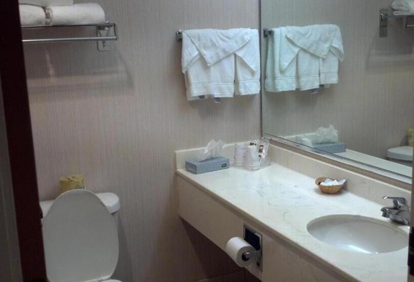 Номер Стандарт 2 Двуспальные Кровати, Quality Inn & Suites Exmore