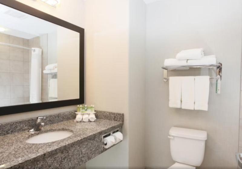 高级大房间, Red Roof Inn & Suites Rome