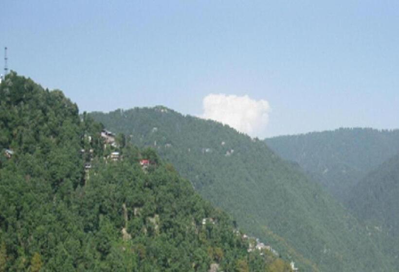 スタンダードルーム, Basera