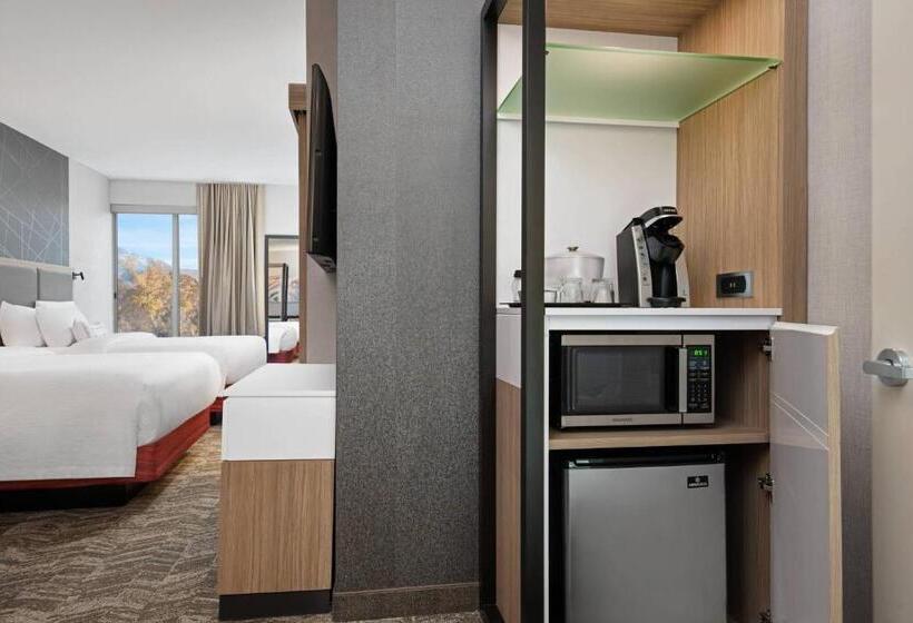 Студио Стандарт Кровать Кинг, Springhill Suites By Marriott St. George Washington