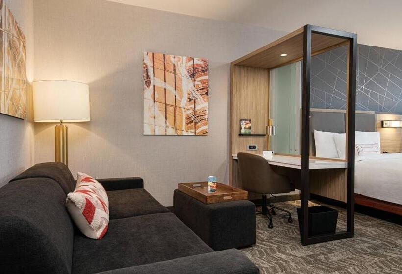 キングサイドベッドのスタンダードワンルーム, Springhill Suites By Marriott St. George Washington