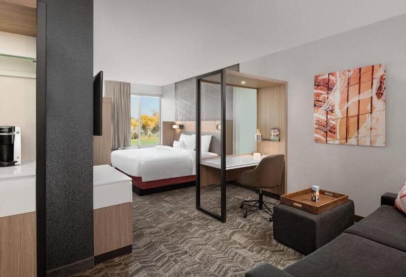 Студио Стандарт Кровать Кинг, Springhill Suites By Marriott St. George Washington