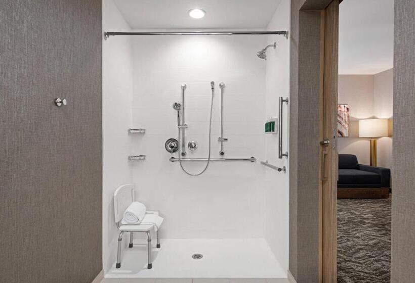 Студио Стандарт Кровать Кинг, Springhill Suites By Marriott St. George Washington