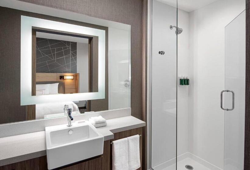 Студио Стандарт Кровать Кинг, Springhill Suites By Marriott St. George Washington