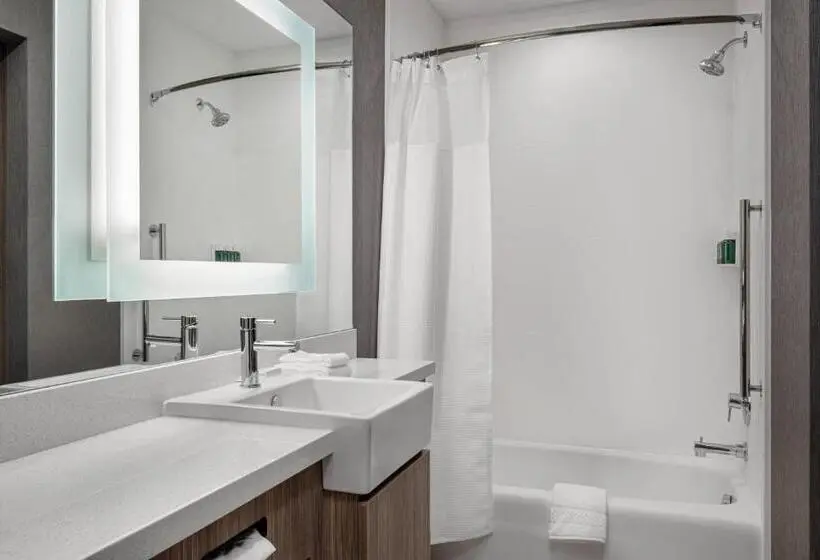 スタンダードスタジオ, Springhill Suites By Marriott St. George Washington