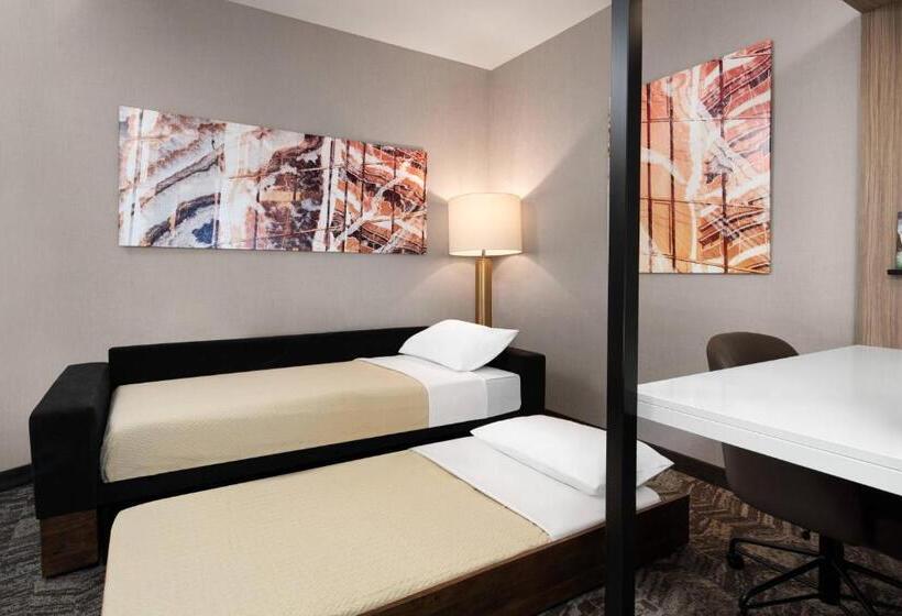 Студия Стандарт, Springhill Suites By Marriott St. George Washington