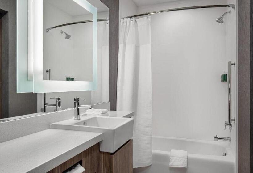 キングサイドベッドのスタンダードワンルーム, Springhill Suites By Marriott St. George Washington