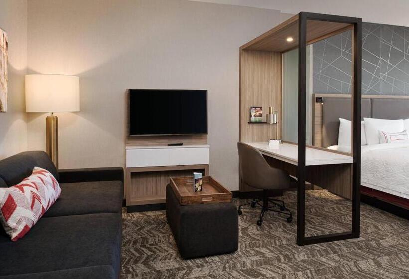 Студио Стандарт Кровать Кинг, Springhill Suites By Marriott St. George Washington