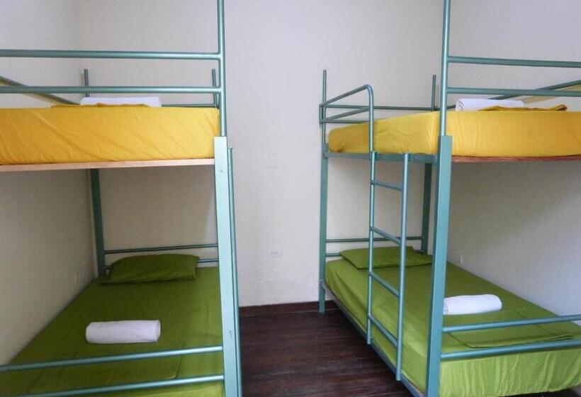 Lit en Chambre Commune, Hostal Antonio