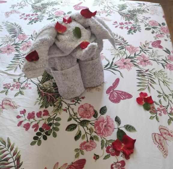 اتاق استاندارد, Les Jardins D Amizmiz