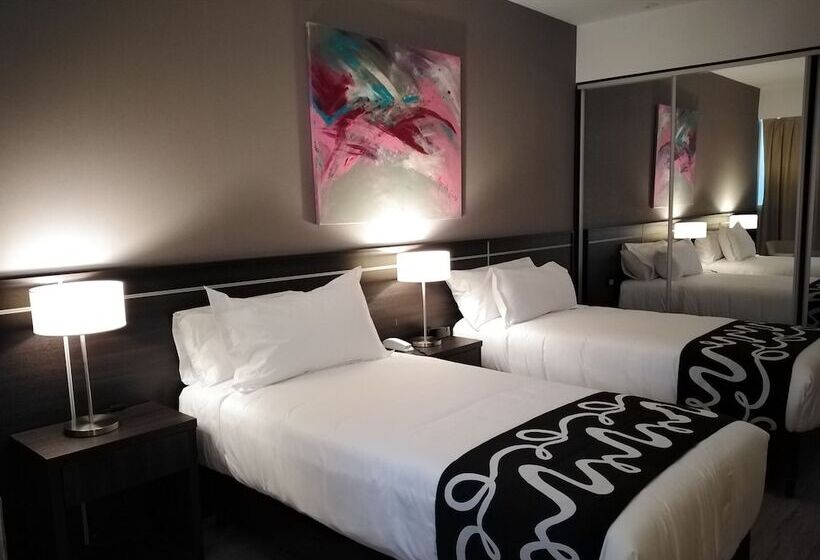 スタンダードルーム, Amerian Rafaela