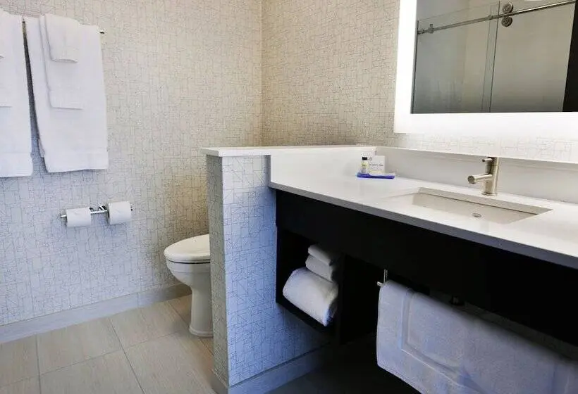 身障者適用スイートルーム, Holiday Inn Express & Suites Jersey City   Holland Tunnel, An Ihg