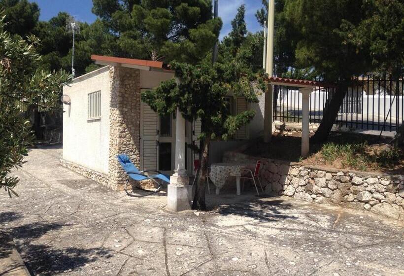 آپارتمان 1 خوابه, Villa Marhu