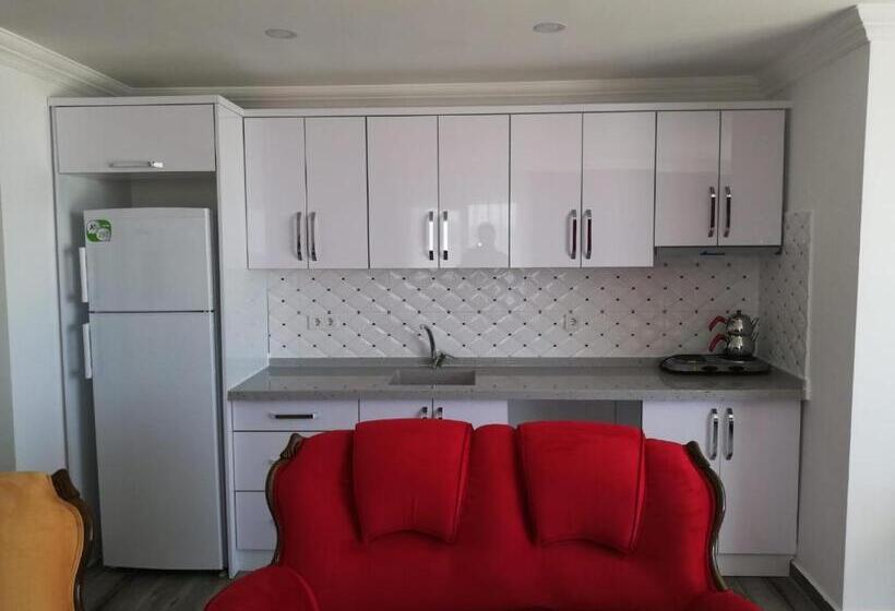 شقة غرفة واحدة مزودة بتراس, çi̇çek Apart Otel