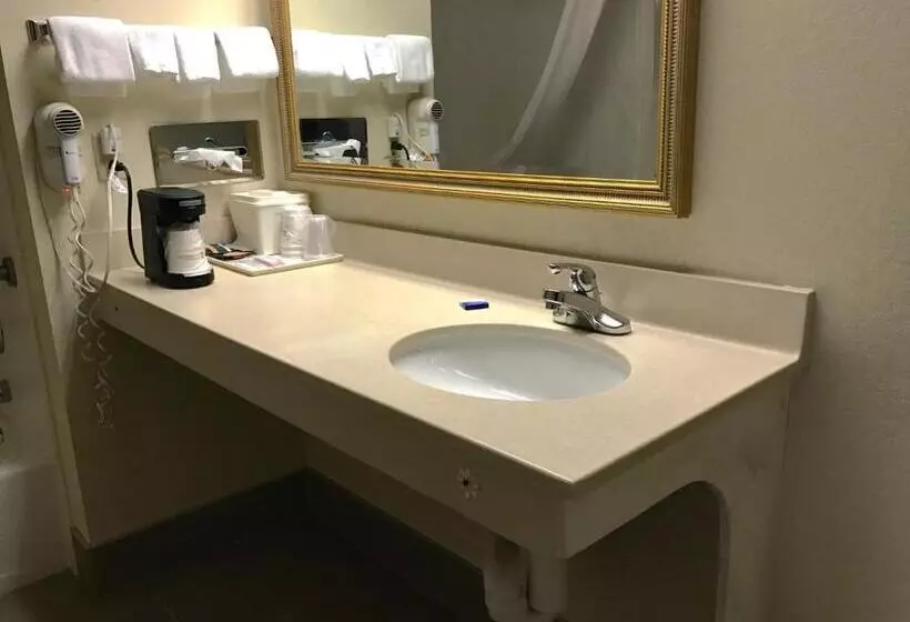 身障者適用スタンダードルーム, Best Western Inn & Suites