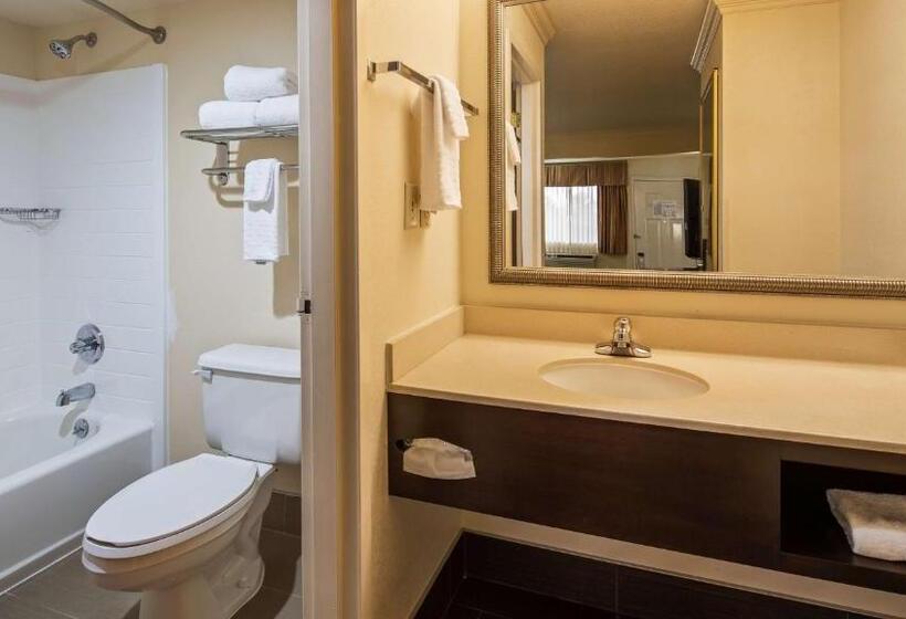 חדר סטנדרט עם מיטת קינג, Best Western Inn & Suites