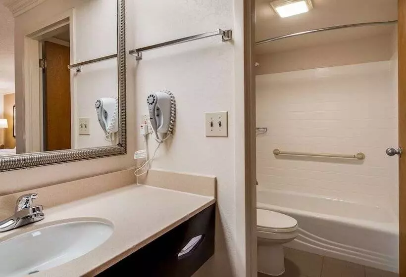 スイート, Best Western Inn & Suites Of Macon