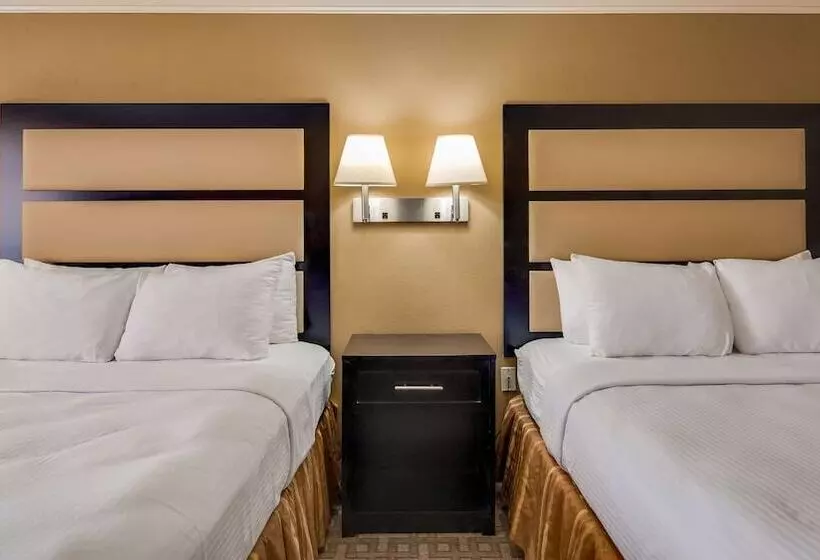 スイート, Best Western Inn & Suites Of Macon