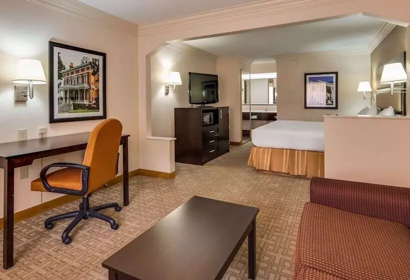 スイート, Best Western Inn & Suites Of Macon