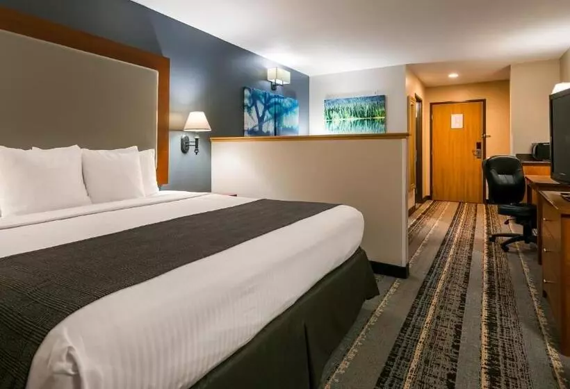 キングサイズベッドのスタンダードルーム, Best Western Newberg Inn