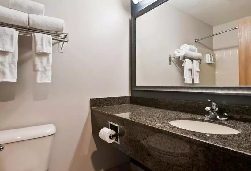 キングサイズベッドのスタンダードルーム, Best Western Newberg Inn