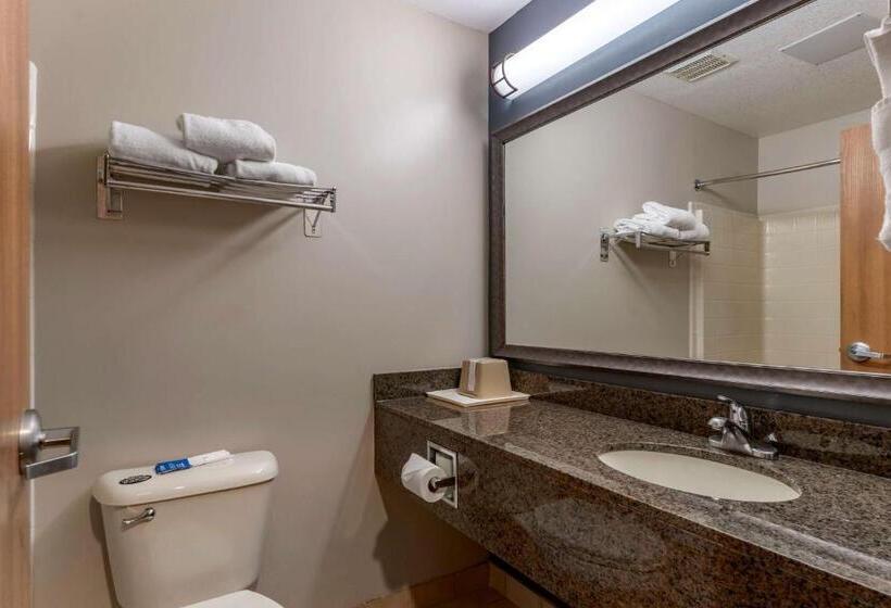 غرفة قياسية سرير كينج, Best Western Newberg Inn