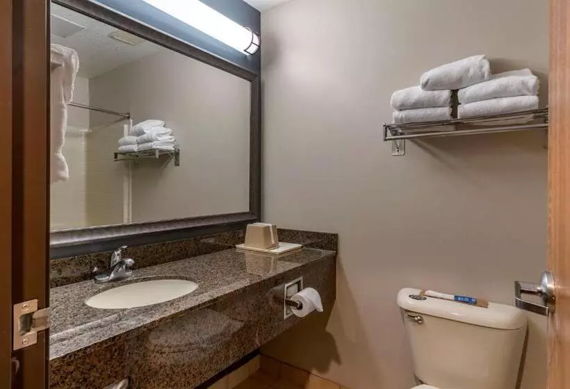 キングサイズベッドのスタンダードルーム, Best Western Newberg Inn