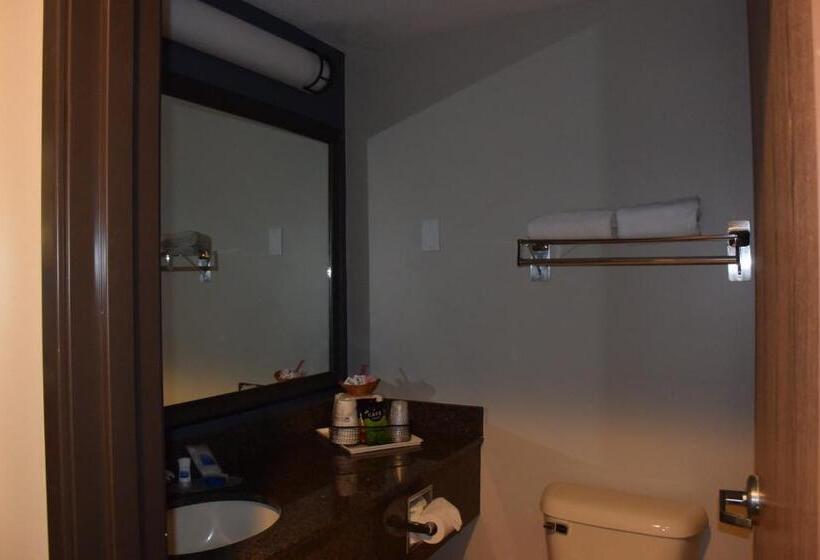 غرفة قياسية سرير كينج لذوى الإحتياجات الخاصة, Best Western Newberg Inn