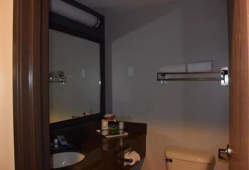 身障者適用キングサイズベッドルーム, Best Western Newberg Inn