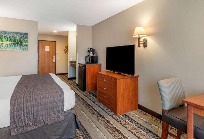 غرفة قياسية سرير كينج لذوى الإحتياجات الخاصة, Best Western Newberg Inn