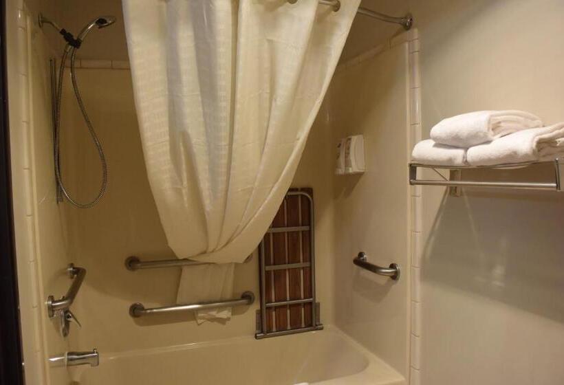 غرفة قياسية سرير كينج لذوى الإحتياجات الخاصة, Best Western Newberg Inn