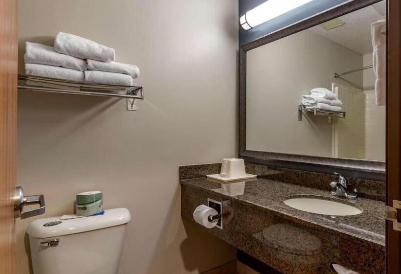 غرفة قياسية لذوى الاحتياجات الخاصة, Best Western Newberg Inn