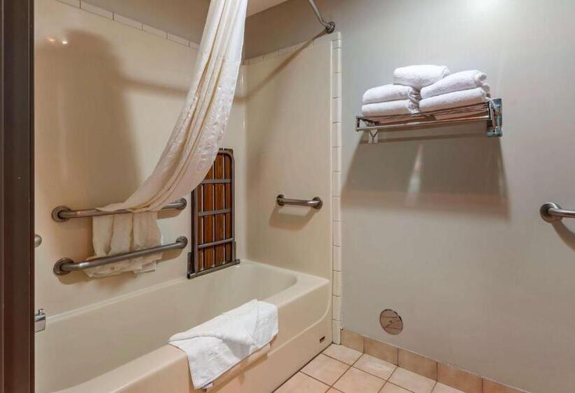 غرفة قياسية سرير كينج, Best Western Newberg Inn