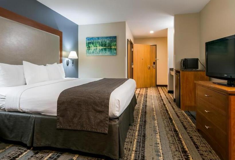 غرفة قياسية سرير كينج, Best Western Newberg Inn