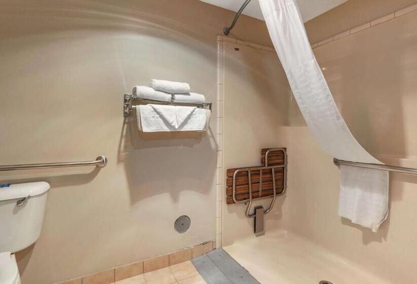 Номер Стандарт Кровать Кинг Адаптированный для Инвалидов, Best Western Newberg Inn