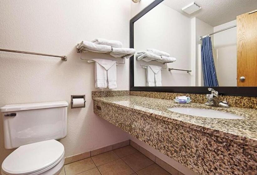 스탠다드 룸 킹사이즈 침대, Best Western Of Huron