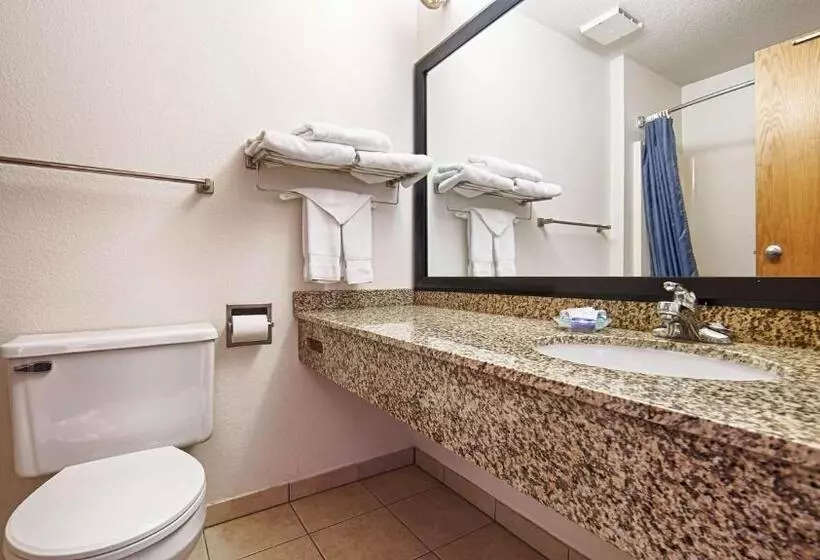 اتاق استاندارد با تخت بزرگ, Best Western Of Huron