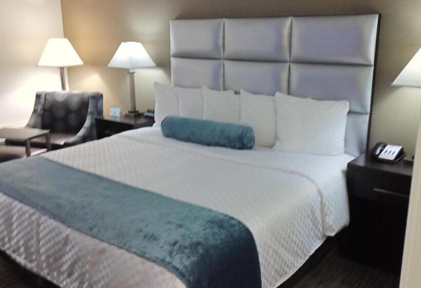 キングサイズベッドのスタンダードルーム, Best Western Webster/nasa