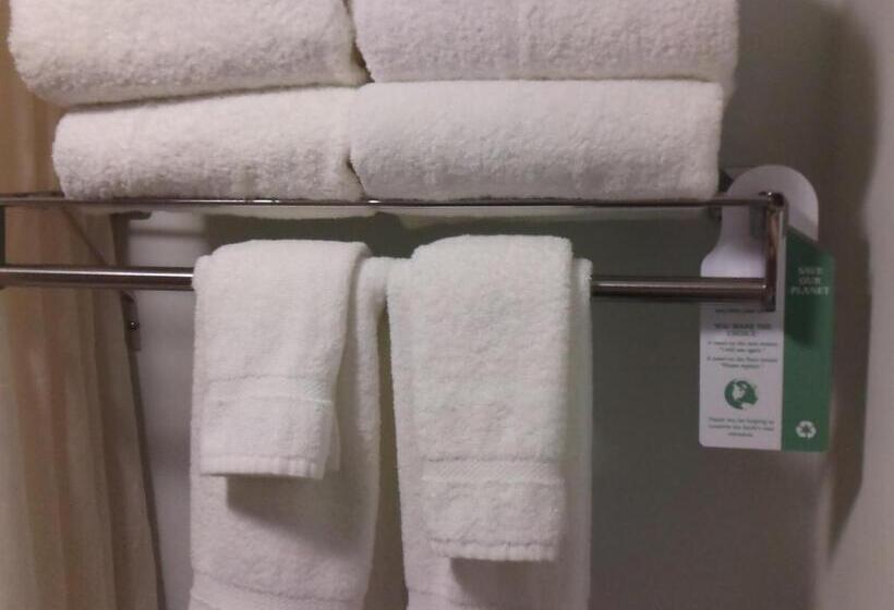 身障者適用キングサイズベッドルーム, Best Western Webster/nasa