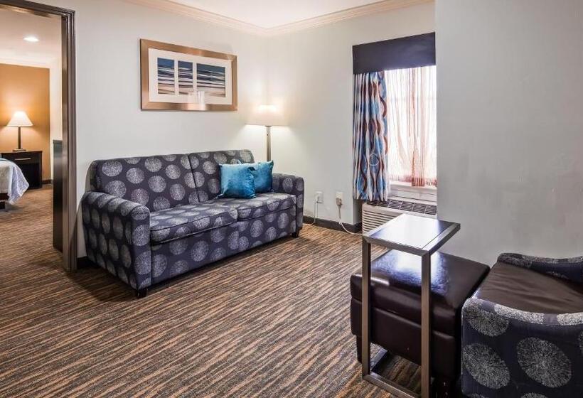 身障者適用スイートルーム, Best Western Webster/nasa